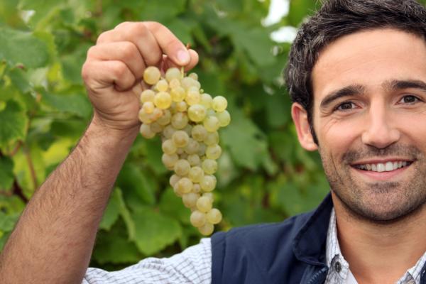 Barometro dell’agricoltura 2017